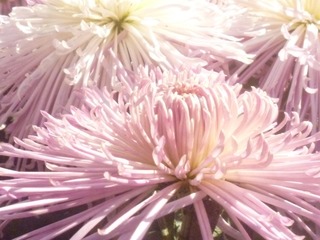 9120B7A9-C76F-4F38-ABE1-4D3282A69F85/L0/001