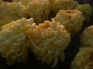 D733B0EF-3D6C-4295-8C3F-AA49568F534D/L0/001
