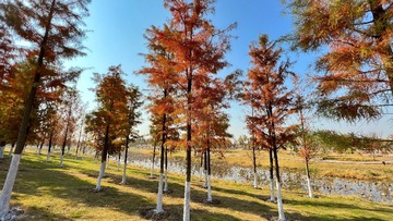 CF44AAE5-910A-4C44-AB5F-FADE9E9B2606/L0/001