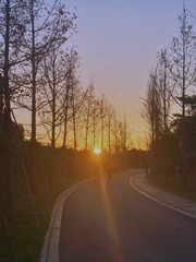 D2D2E29A-7A90-4B7B-BC8A-BE093D42390E/L0/001