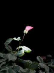 6B191FFA-0345-47D3-8E8D-F5CE0526BAC6/L0/001