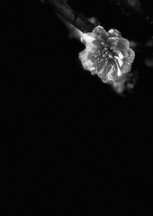 1B238138-DB80-4952-B49F-B075A106FF5E/L0/001