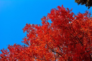 1AEBD16C-B5FD-471A-8539-1C988BCBE0C3/L0/001