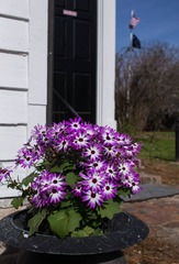 DSC01382.jpg