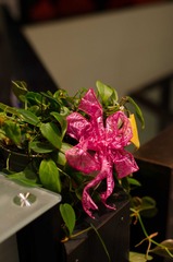 DSC_5672.jpg