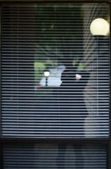 DSC_5827.jpg