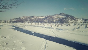 IMAG0174