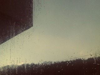 IMAG0245