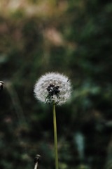 89B503A1-35D7-42BC-B433-D6796450E79E/L0/001