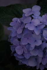 BB327882-8D46-46EE-925A-2E9C4E84ED53/L0/001