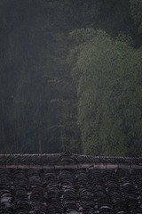 6FFF45DC-7BE6-4757-B941-C55E500BC855/L0/001