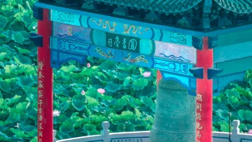 125882