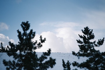 F37B52BC-CD3F-486B-9B69-A752F472F0AC/L0/001