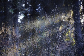 1B4407BE-C208-4F39-8773-F5ECE5E61F1F/L0/001