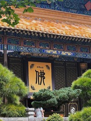 E7B46C73-2F94-485C-B111-CF61F6EE38FB/L0/001