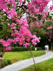 8A541A5C-FD71-4CF9-B3EC-118F3A67C974/L0/001