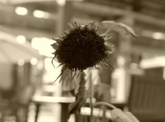 5217210C-D965-4FF9-B917-C7A9DE389D49/L0/001