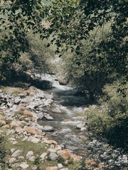1000026642
