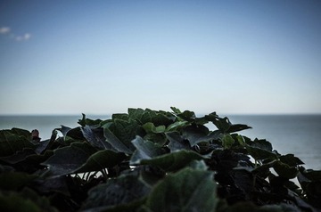 R0060572