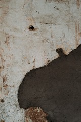 280529