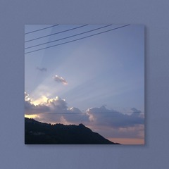 393987