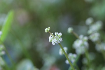 2F8C414D-F5D3-42DD-AC6C-C725FF584194/L0/001