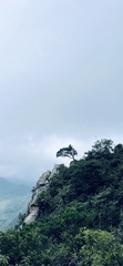 F695EF63-E287-4D2C-8149-C6F9865B31C6/L0/001