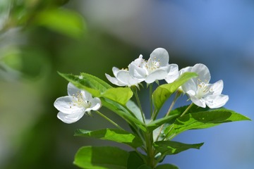 25FD58B3-669A-4B66-A28A-2938A34A2E72/L0/001