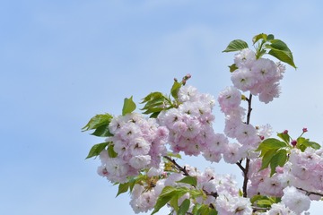 4CDD36CC-A544-4678-A48B-3D210C507CA8/L0/001