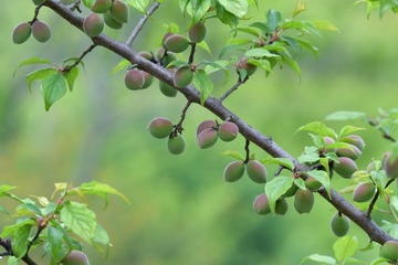 548F4AE2-D3AE-4C0E-BF1A-0BEA1F56F9E1/L0/001
