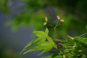 CC6DB896-1B1A-4891-A6D3-A2A24EBB2CDF/L0/001