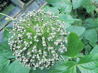 DSCN8974_副本.jpg