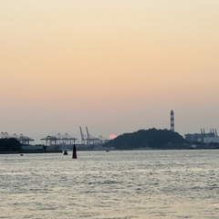 1798AE43-E1F4-49AE-B7E1-E5C0A9100121/L0/001
