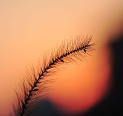 照片 190i.jpg