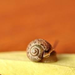 照片 307i.jpg