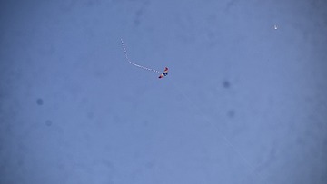 048BD49C-5A9F-41D2-8B02-39528669D50B/L0/001