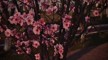7B230084-0FA0-442D-9126-599F45E00898/L0/001