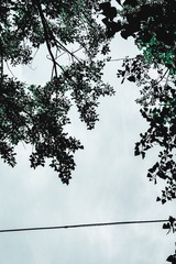 06AE6570-BE1F-4E82-8F27-322214C2A1AE/L0/001