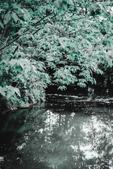 5C17CE25-F06B-4CFC-9964-B082A2A689A1/L0/001