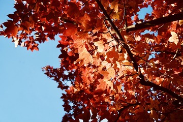61C127E8-C091-423F-B90A-E1A721D50331/L0/001