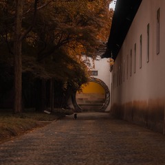 B28C0349-BF05-49FB-924B-E42D79DB7435/L0/001