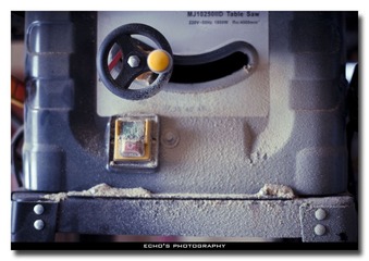 IMG_0255 copy.jpg