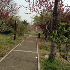 22AC20D1-A1A1-417D-9119-8A8E6B23B0B3/L0/001