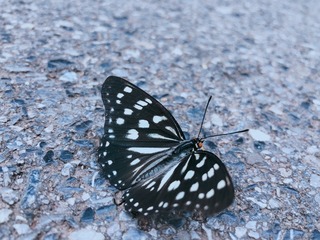 34F27E15-CCD5-4C06-B6C6-3A4D2D6183F9/L0/001