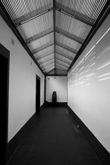 DSCF2259.jpg