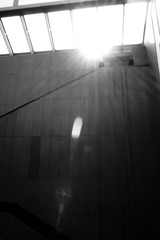 DSCF2272.jpg