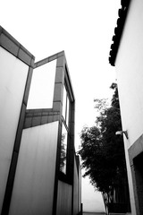 DSCF2285.jpg