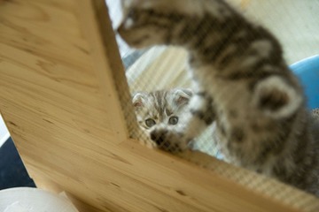 IMG_3159.jpg