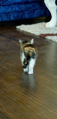 IMG_2925.jpg