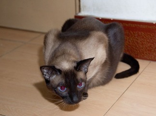 IMG_3536.jpg